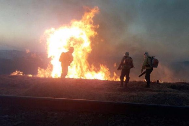 Combate ao fogo no Parque Estadual da Serra do Rola-Moça, na região metropolitana de Belo Horizonte (Foto/Divulgação/Corpo de Bombeiros de Minas Gerias)