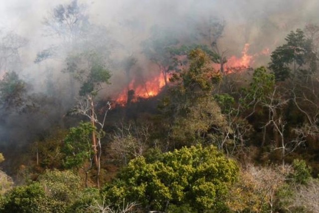 Tempo seco de setembro facilita incêndios; ação humana é a principal causa Incêndios atingem também terras da aldeia indígena Bacurizinho, no Maranhão.(Foto/Divulgação/Ibama)