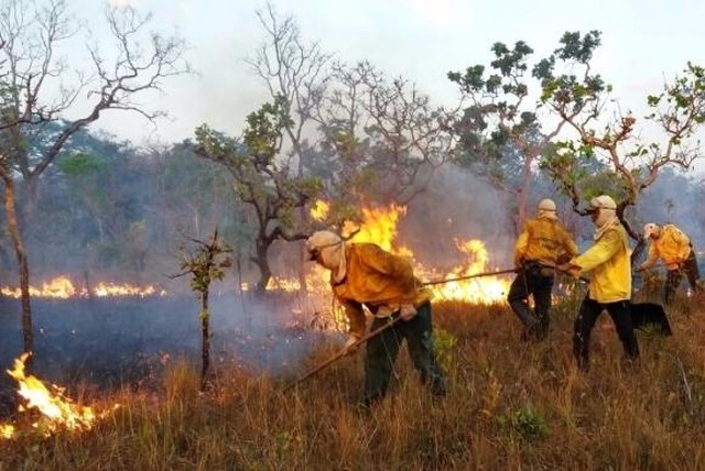 Tempo seco de setembro facilita incêndios; ação humana é a principal causa Equipes do Ibama combatem o fogo no Parque Nacional do Araguaia, no Tocantins (Foto/Divulgação/Ibama)