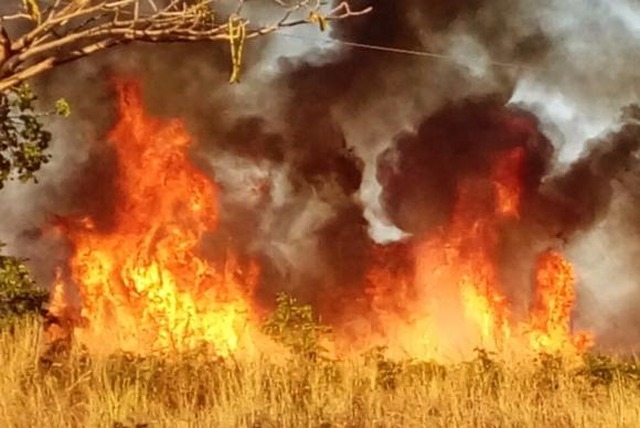Fogo no Parque Nacional do Araguaia, no Tocantins (Foto/Divulgação/Ibama)
