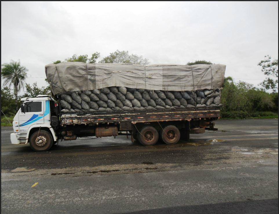 Caminhão que transportava uma carga de 80 m³ de carvão de madeira nativa. (Foto: Assessoria)