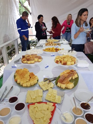 Fibria abre sua Casa com demonstração prática da aplicação de celulose Até o café da manhã tinha gostinho de Fibria: todos os pães, doces e queijos foram produzidos pelos moradores do Assentamento 20 de Março, que faz parte de uma ação social da empresa. Foto: Ricardo Ojeda
