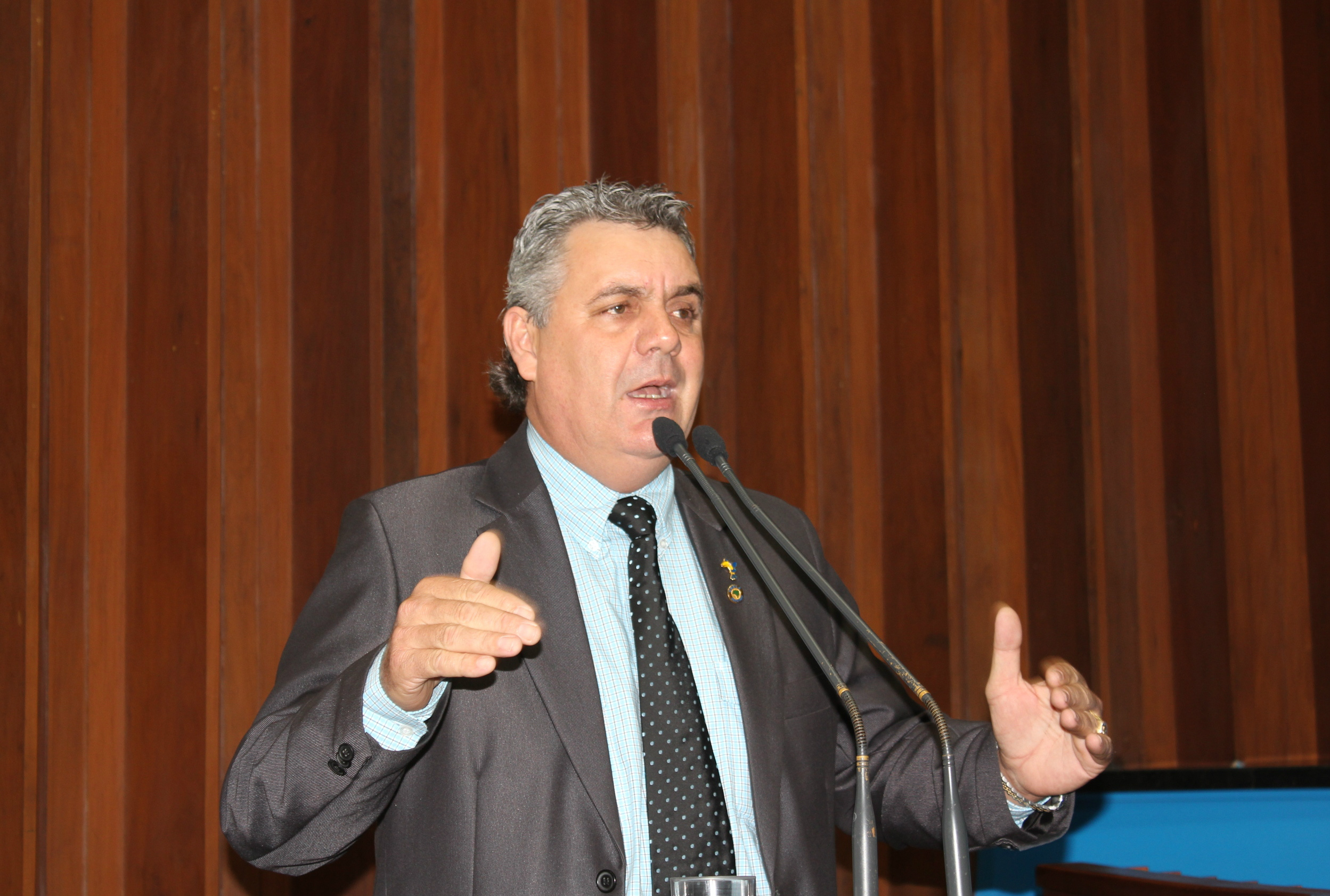 Deputado Angelo Guerreiro durante a sessão plenária na terça-feira. (Foto: Assessoria)