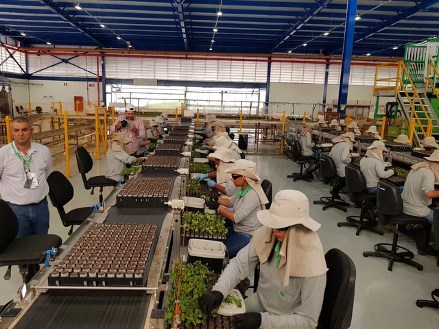Durante a crise do desemprego que se instalou no país, Três Lagoas foi o município que mais gerou vaga de trabalho (Foto: Ricardo Ojeda)