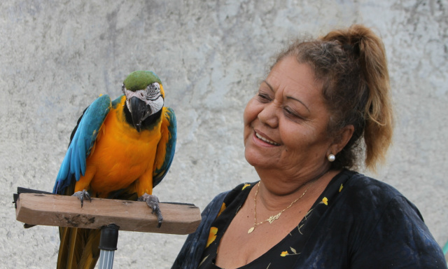 Há 30 anos, três-lagoense tem arara como companheira e dá exemplo de amor aos animais (Foto: Lucas Gustavo)