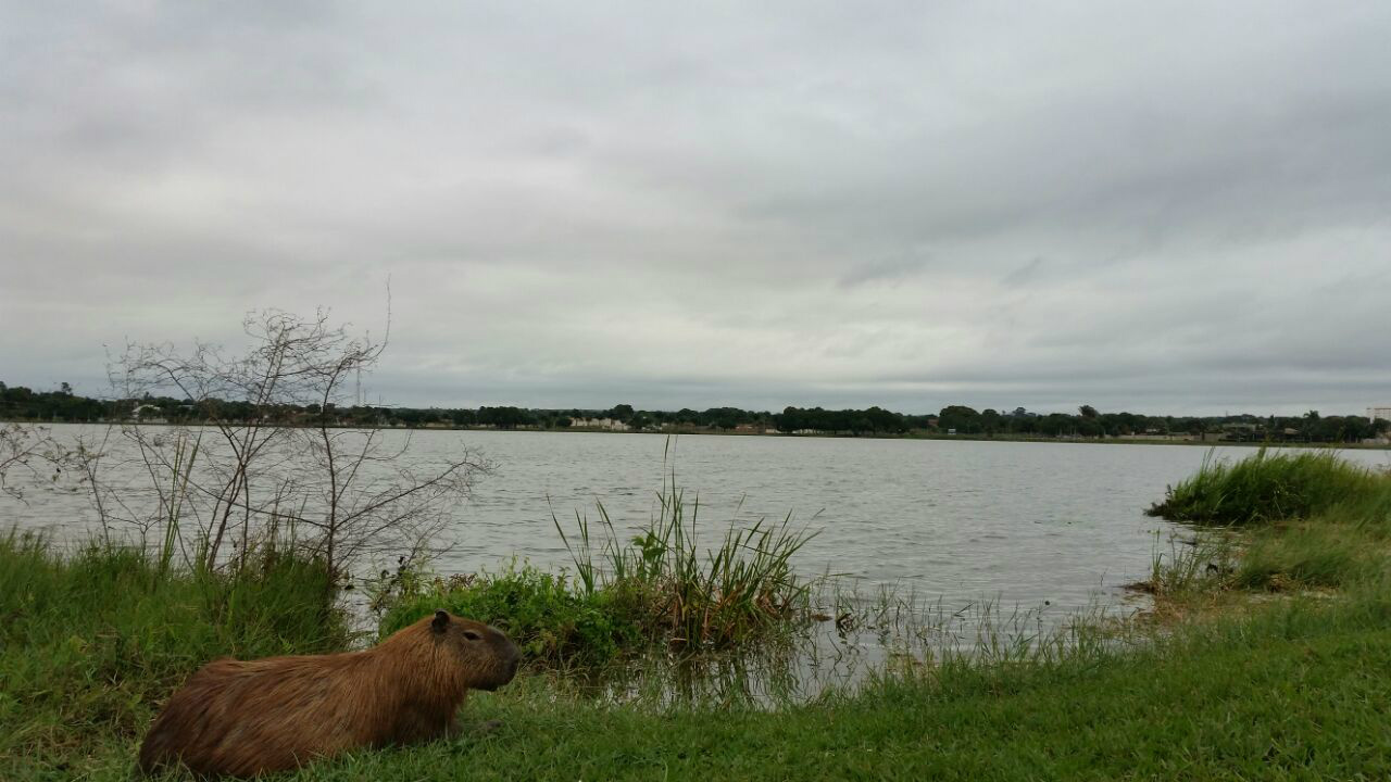 Sexta-feira inicia com tempo frio e céu nublado em Três Lagoas Céu nublado e com muitas nuvens nesta manhã. Foto: (Ricardo Ojeda)