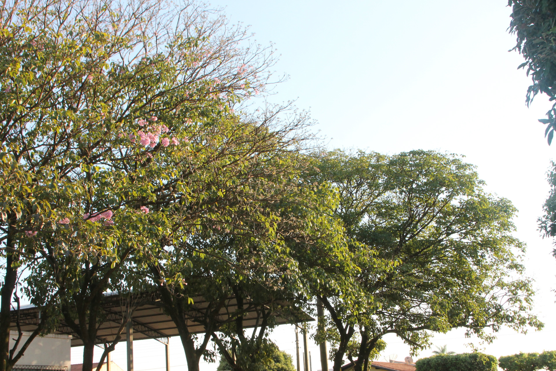 céu claro e sem nuvens nesta manhã. (Foto: Kênia Guimarães) 