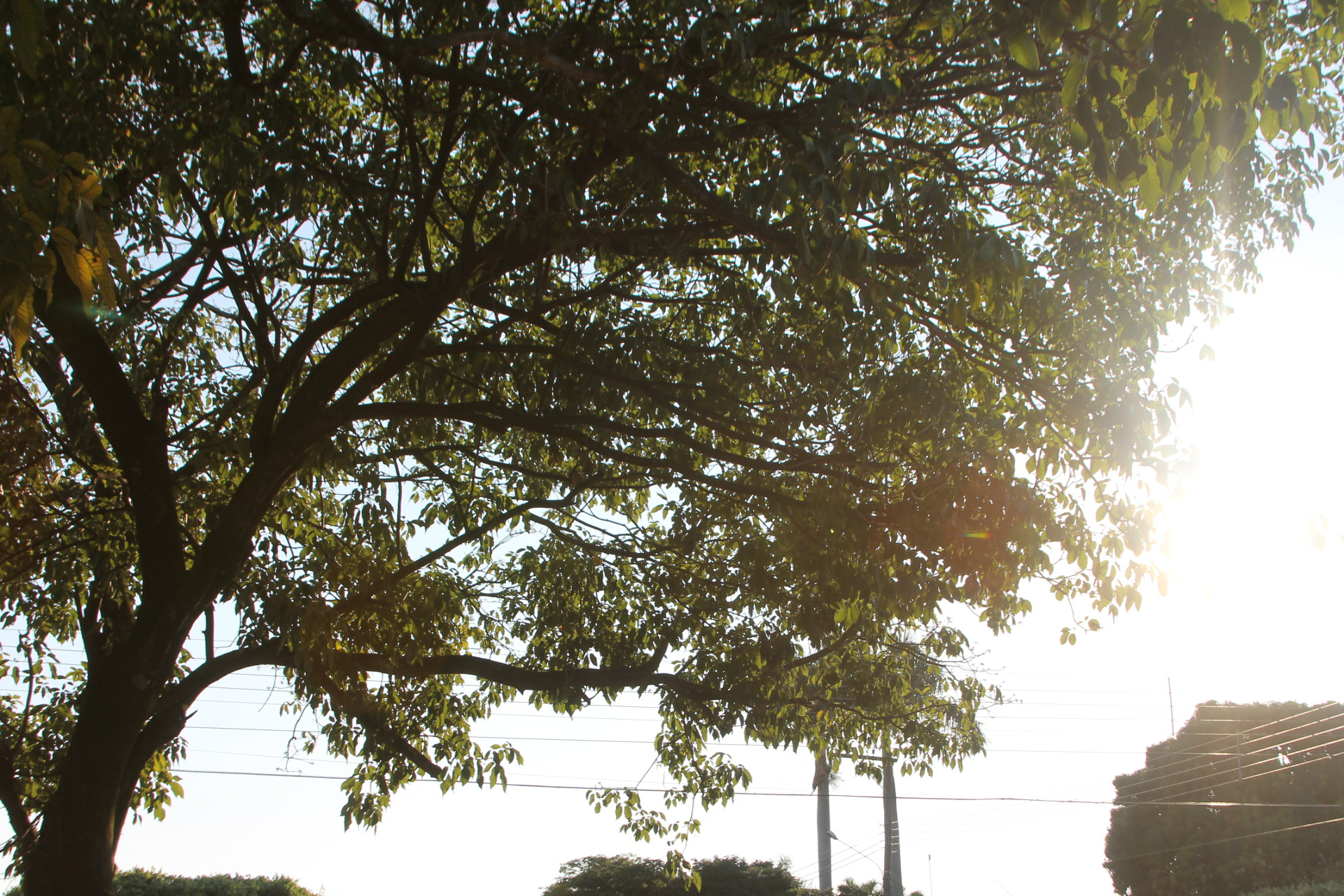 A previsão de sol para o resto do dia. (Foto: Kênia Guimarães)