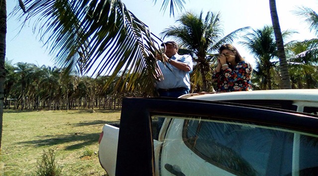 Através de reuniões técnicas, os fiscais estaduais agropecuários explicaram aos proprietários de unidades de produção de banana de Paranaíba. (Foto: Divulgação/ Assessoria)