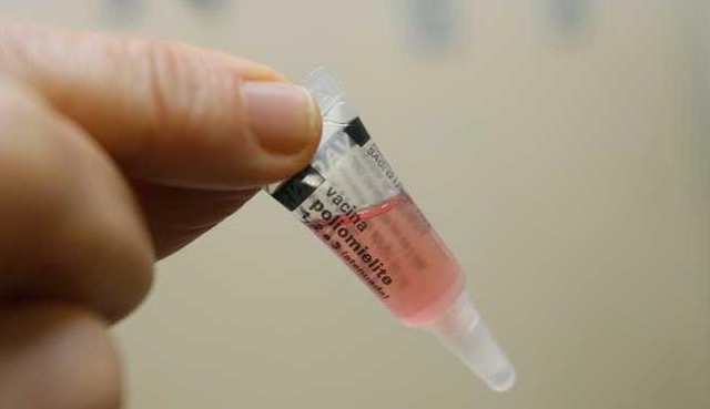 A Campanha Nacional de Vacinação contra a Poliomielite acontecerá no período de 6 a 24 de agosto de 2018. O esquema vacinal do Calendário Nacional de Vacinação é composto por três doses da Vacina Inativada Poliomielite (VIP), administradas aos dois, quatro e seis meses de idade, com a vacina oral poliomielite (VOP0); aos quinze meses e aos quatro anos de idade. Foto: Arquivo Perfil News