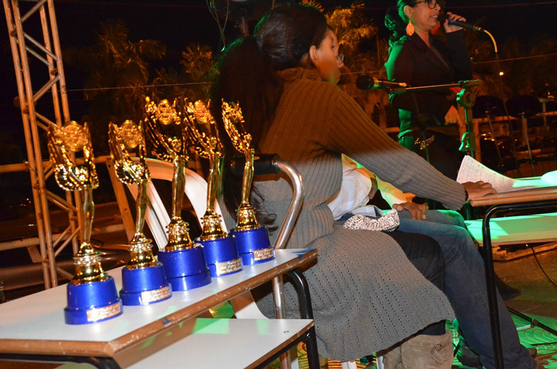 O festival teve 23 apresentações, sendo que todos ganharam uma medalha pela participação e os cinco primeiros colocados levaram um troféu.  (Foto: Assessoria)