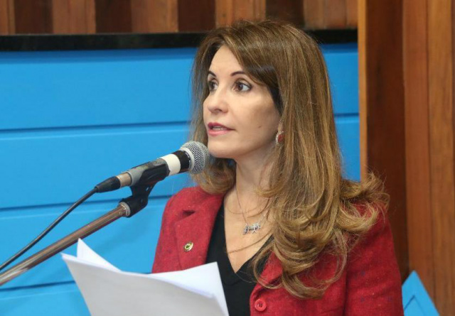 A lei é de autoria da deputada Antonieta Amorim (Foto: Divulgação)