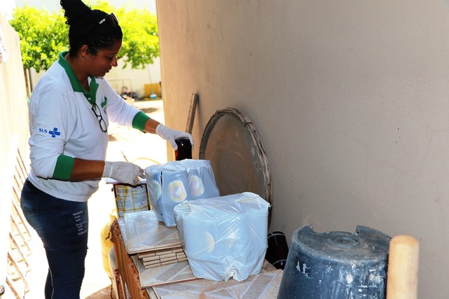 Mutirão de enfrentamento à Dengue estará no Jardim Progresso, Ipacaraí, Bela Vista e Paranapungá Foto: Divulgação