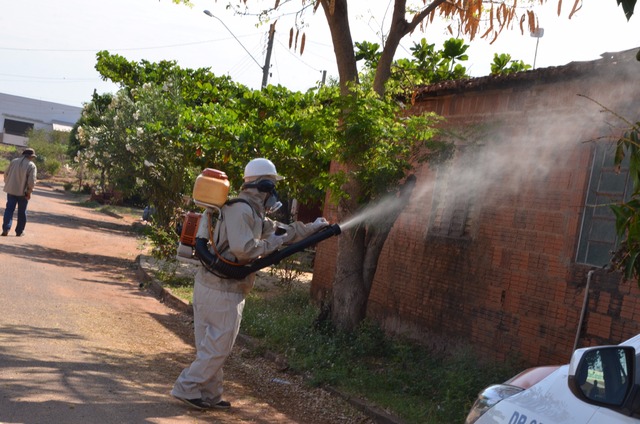 Ação visa bloquear focos criadouros de vetores no Córrego, nas margens e nas residências. (Foto: SECOM TRÊS LAGOAS)