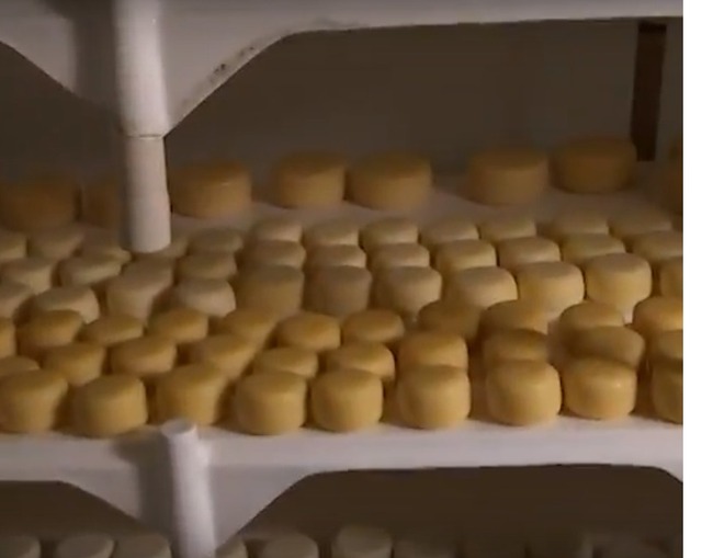 Lei facilita venda interestadual de produtos artesanais de origem animal Lei facilita comercialização de produtos de origem animal entre os estados. Foto: TV Senado