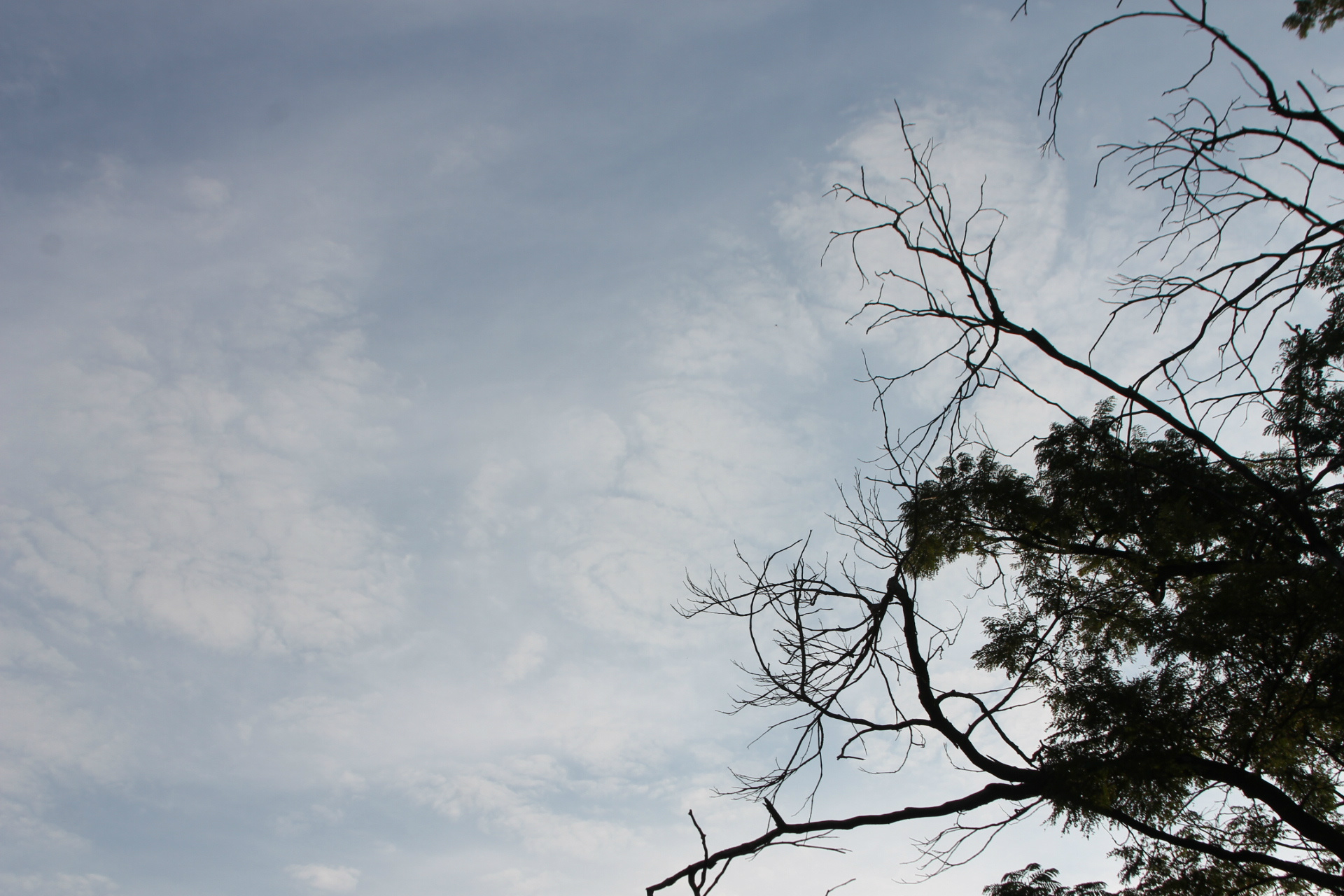 Céu claro e com algumas nuvens na manhã desta quarta-feira. (Foto: Kênia Guimarães) 
