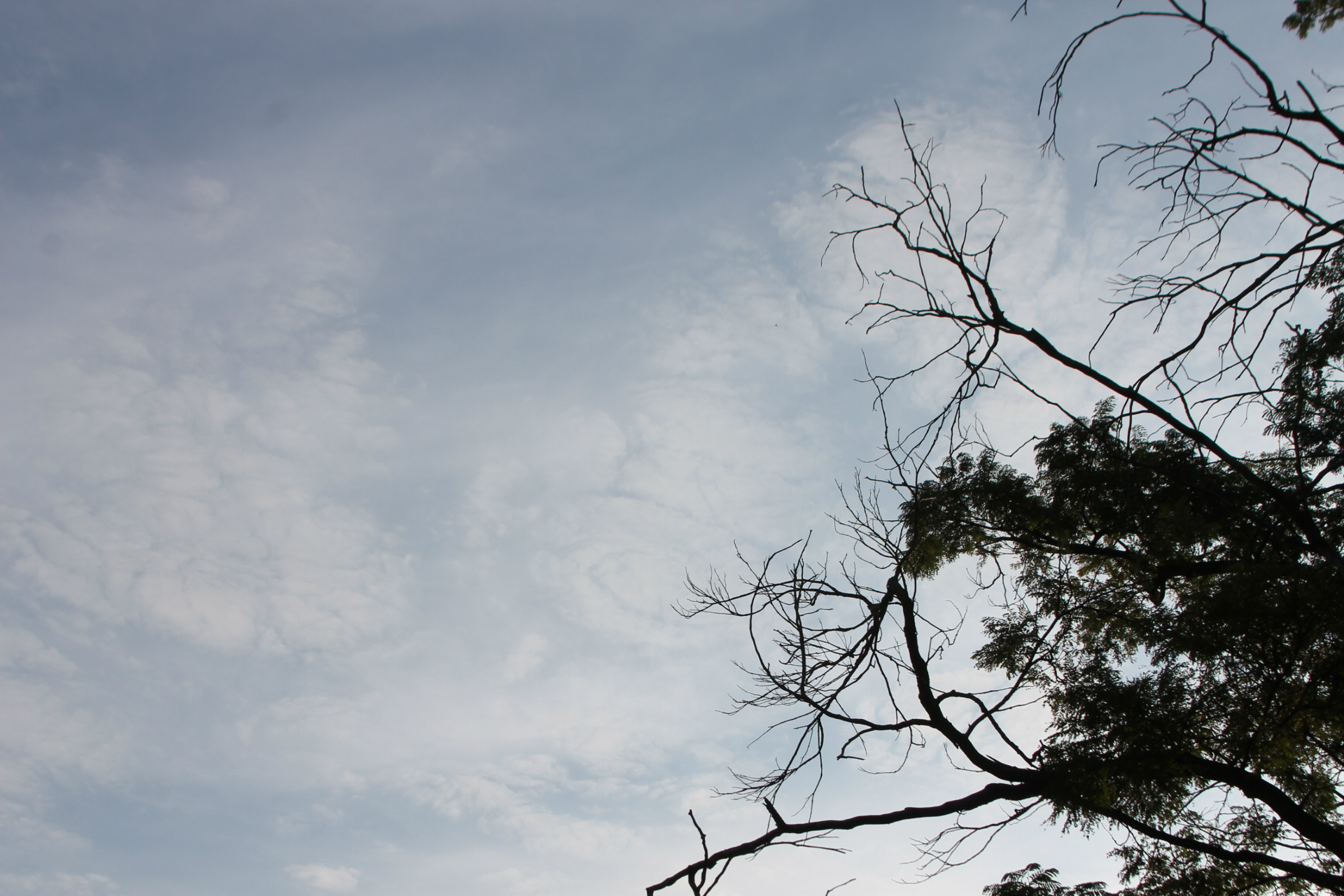 Previsão de tempo estável para a quarta-feira em Três Lagoas Céu claro e com algumas nuvens na manhã desta quarta-feira. (Foto: Kênia Guimarães)