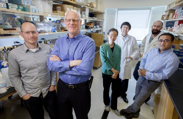 Cientistas descobrem composto que imobiliza célula do câncer e impede metástase O cientista Raymond Bergan e equipe em laboratório no Instituto OHSU Knight Cancer, no estado de Óregon (EUA) (Foto: Kristyna Wentz-Graff/OHSU)