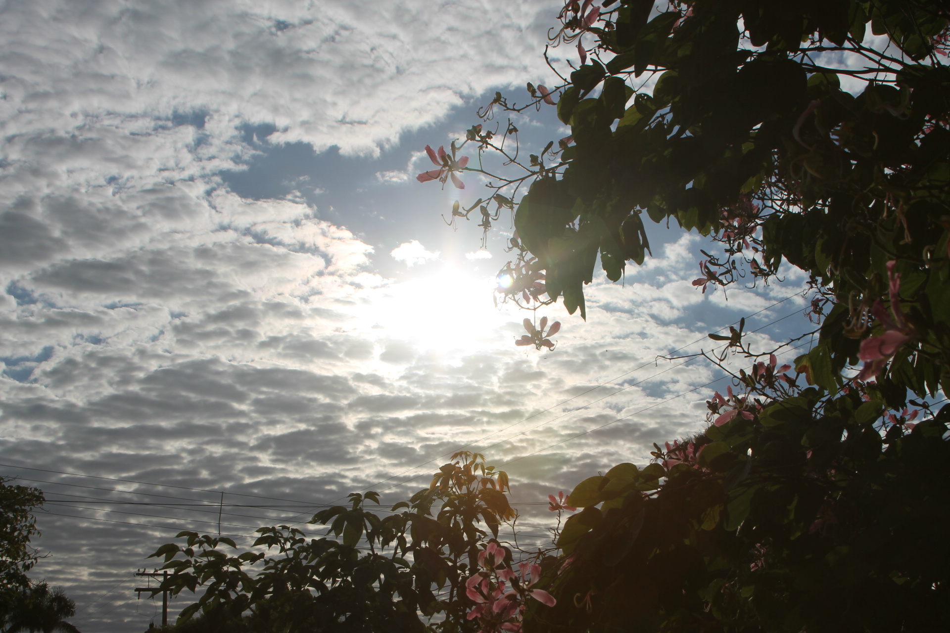 Céu com muitas nuvens nesta manhã em Três Lagoas. (Foto: Kênia Guimarães)