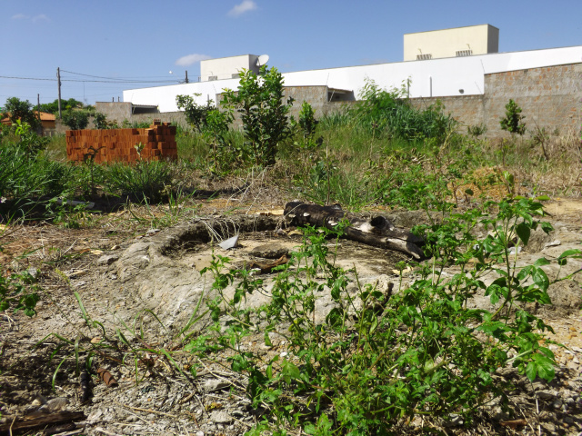 Uma caixa construída para fazer massa de cimento acumula água da chuva e vira um criador em potencial para mosquito da dengue (Fotos:Laryssa de Andrade) 