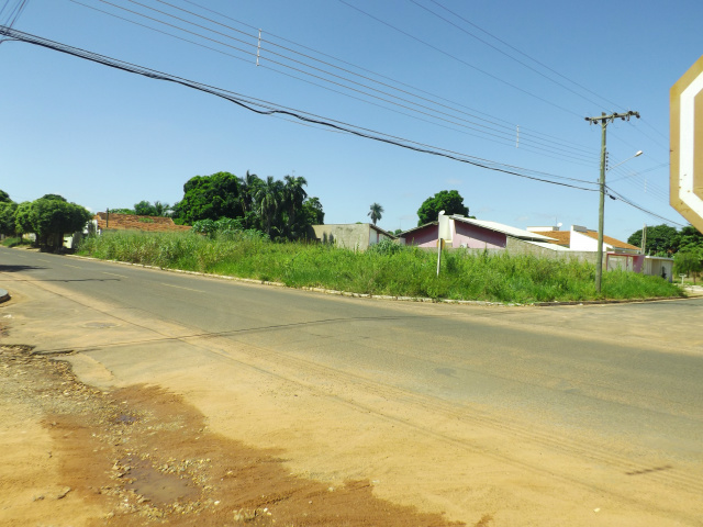 No terreno da esquina da rua Cel. João Gonçalves de Oliveira com Getúlio Garcia Marques, pela altura do mato é possível perceber que o terreno não é limpo há muito tempo. Indicio de que a determinação do Ministério Público à Prefeitura de Três Lagoas, em janeiro de 2016 não foi aplicada (Foto:Laryssa de Andrade) 