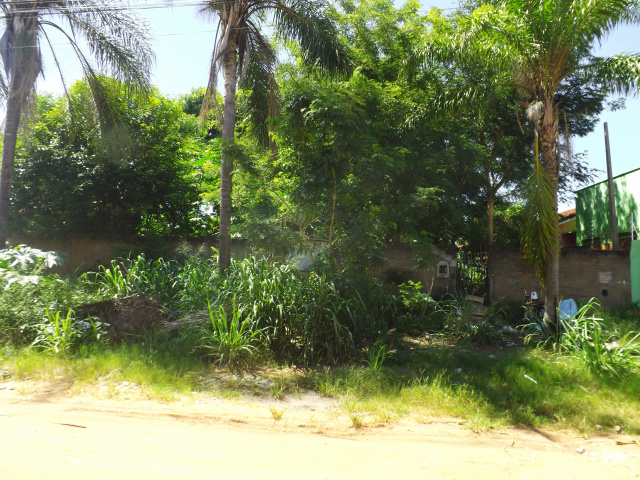 A frente do imóvel desapareceu em meio ao lixo acumulado e o mato crescido (Foto:Laryssa de Andrade) 