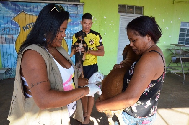 Saúde promove campanha de vacinação de cães e gatos Lançamento e “Dia D” da campanha antirrábica serão no sábado (30), das 7h às 16h, na Estação Ferroviária da antiga NOB, no Centro. (Foto: SECOM TRÊS LAGOAS)