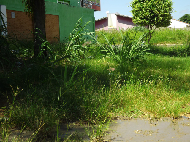 A sujeira e o mato deste terreno quase chegam no vizinho ao lado, um restaurante. Para quem passa caminhando é preciso desviar, passando pela rua, a noite o transtorno fica ainda maior (Foto:Laryssa de Andrade) 