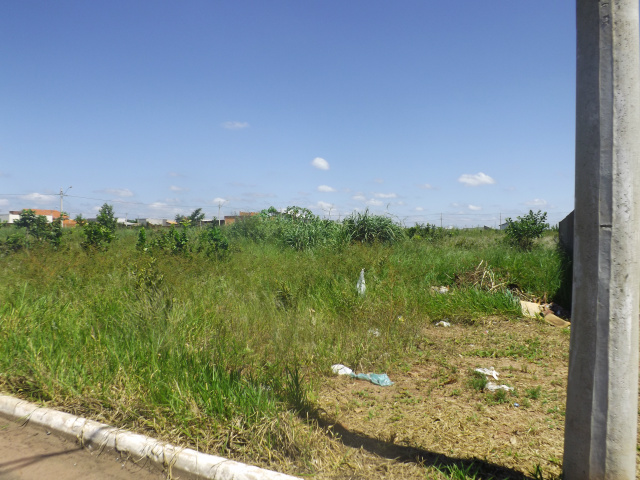 O terreno aos fundos da obra do UBS, também de propriedade da prefeitura não foi limpo, o mato está alto e gera questionamento, uma vez que feita a limpeza do terreno da frente o do fundo também deveria ser limpo (Foto:Laryssa de Andrade) 