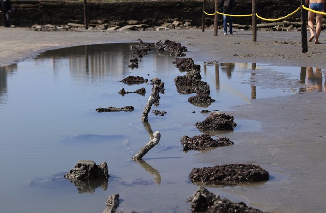 Destroços de navio são encontrados na praia do Embaré, em Santos, SP (Foto: José Claudio Pimentel/G1)