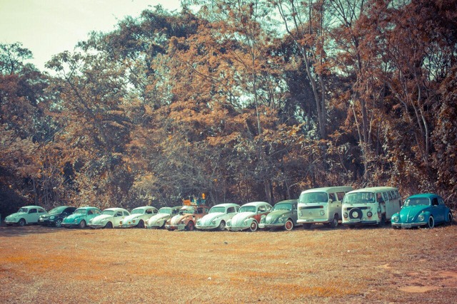 Grupo de fusqueiros “AirCooled Group Três Lagoas” realizará exposição de carros antigos no Balneário Municipal Encontro reunirá aproximadamente 20 membros em comemoração ao primeiro ano de formação do clube (Foto/Assessoria)