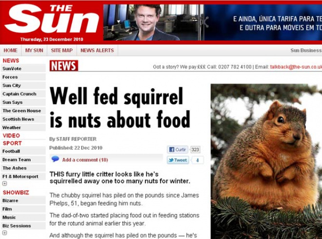 Esquilo obeso foi flagrado em Michigan (Foto: Reprodução/The Sun)