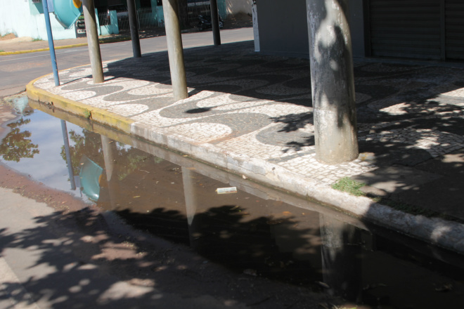 Água parada pode causar prolemas de saúde pública (Foto: Nelson Roberto)