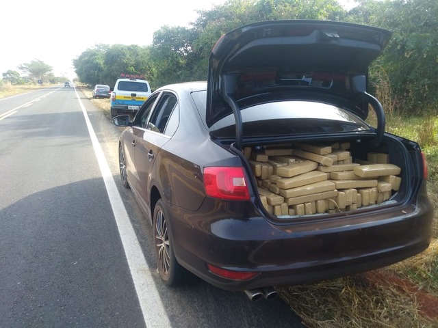 Polícia apreende mais de 720kg de maconha em Três Lagoas foto: Divulgação