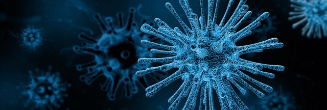 Secretaria de Saúde confirma segunda morte causada por H1N1 em Três Lagoas Vírus H1N1. Reprodução