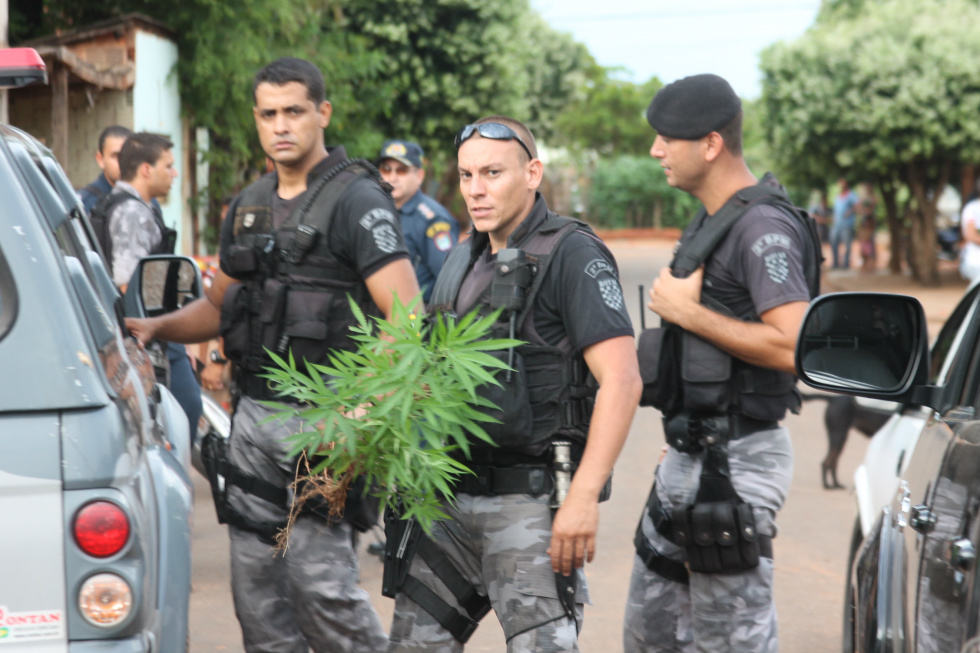 Policiais arrancaram os dois pés de maconha e levaram para a delegacia onde a moradora da casa foi indiciada por tráfico de drogas (Foto: Ricardo Ojeda)