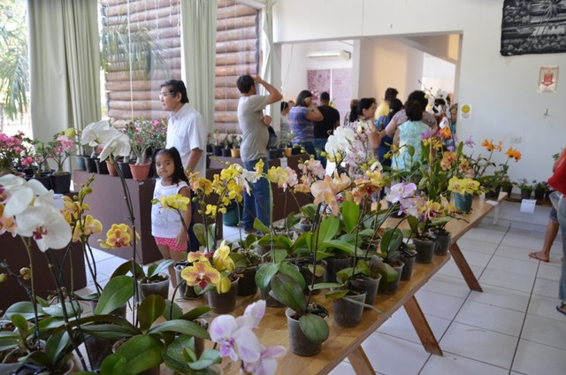 Casa do Artesão sedia Exposição e Feira de orquídeas Foto: Divulgação