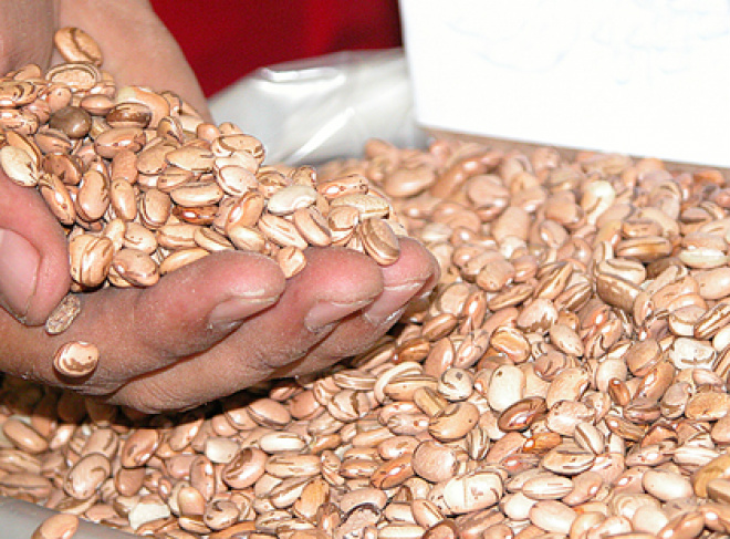 Alimentos com maior teor de nutrientes produzidos no Brasil Feijão com o dobro de ferro, batata-doce alaranjada com muita vitamina A e arroz polido com altos teores de zinco (Foto: Arquivo)